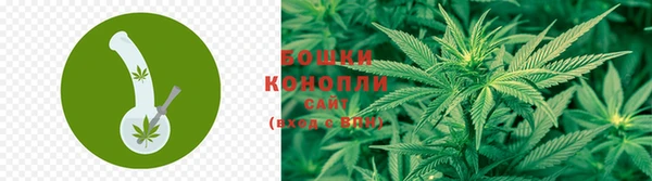 ECSTASY Козельск