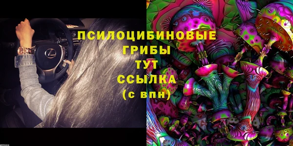 спайс Алексеевка
