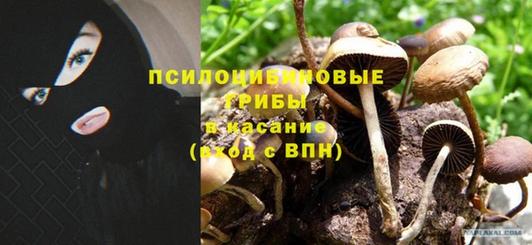 a pvp Алзамай