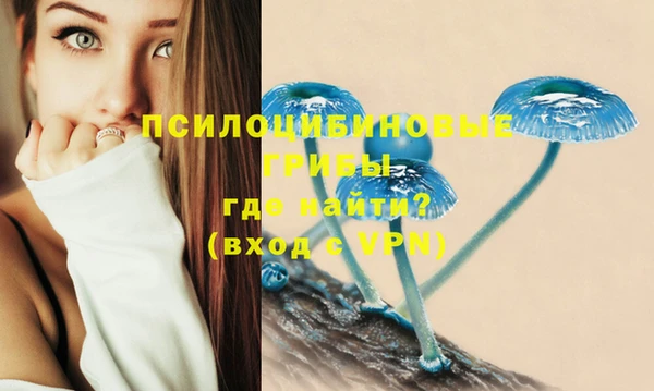 спайс Алексеевка